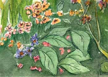 "Sweet Garden" by Ginny Bores, Madison WI - Watercolor & Ink